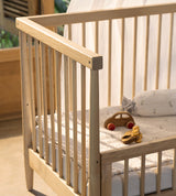 Paddington Crib