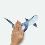 'SHARKS' WALL DECALS